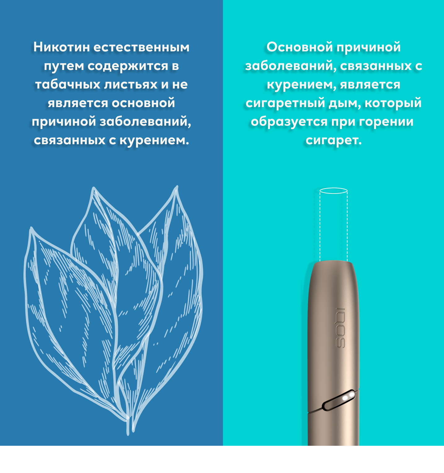 Дело не в никотине